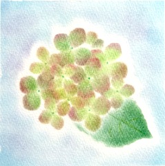 青木永利子様の作品です。
